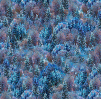 FROSTY FOREST ALLOVER