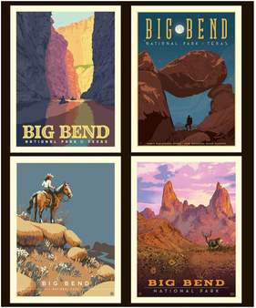 BIG BEND PILLOW PANEL