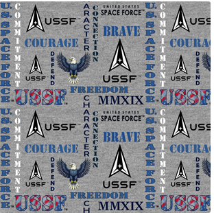 SPACE FORCE GRAPHS ON GRAY