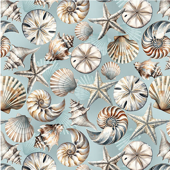 COASTAL ESCAPE  SHELLS