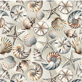 COASTAL ESCAPE SHELLS NEUTRAL