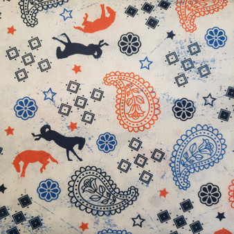 BRANDEIS BRONCOS WESTERN HUDDLE