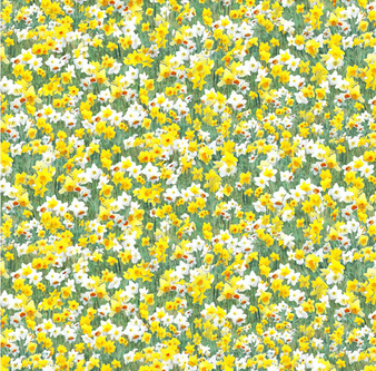 FIELDS OF FAITH - FIELD OF FLOWERS