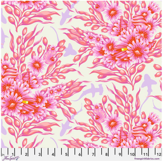 SHADOW SHARKS - DELPHINE