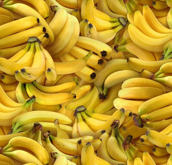 FOOD FESTIVAL YELLOW BANANA