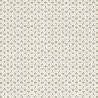 AMERICAN VALOR TEXTURED STARS IN NATURAL