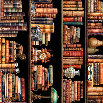 BOOK CLUB BOOKSHELF BORDER STRIPE