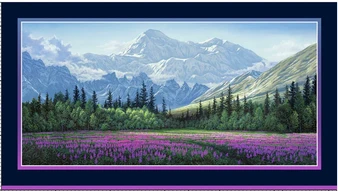 AURORA'S PASSAGE FIELD OF DREAMS PANEL