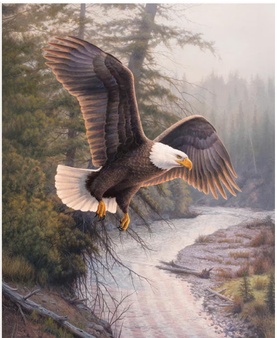 MAJESTIC IN NATURE II EAGLE PATRIOT