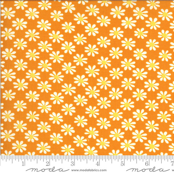 A Blooming Bunch Cheddar Small Flower