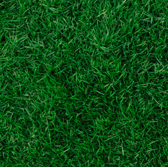 Open Air Grass Dark Green