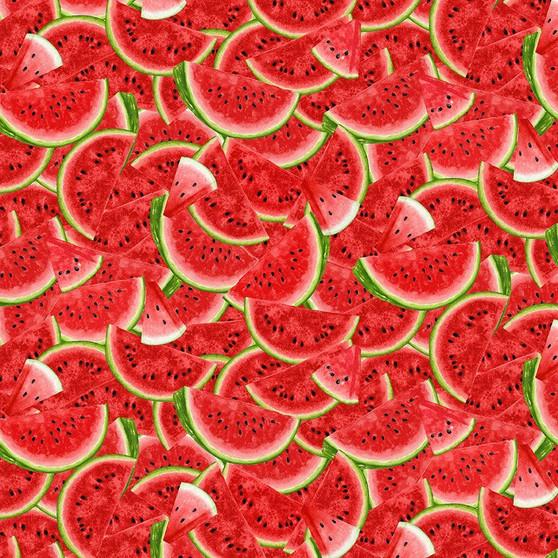 Watermelon Party, Packed Watermelon Slices Multi
