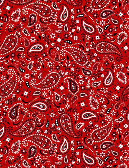 Bandana Print Red