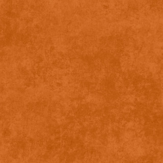 APRICOT ORANGE