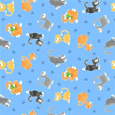 KITTY THE CAT KITTENS