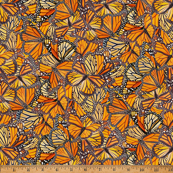 MONARCH MARIPOSA