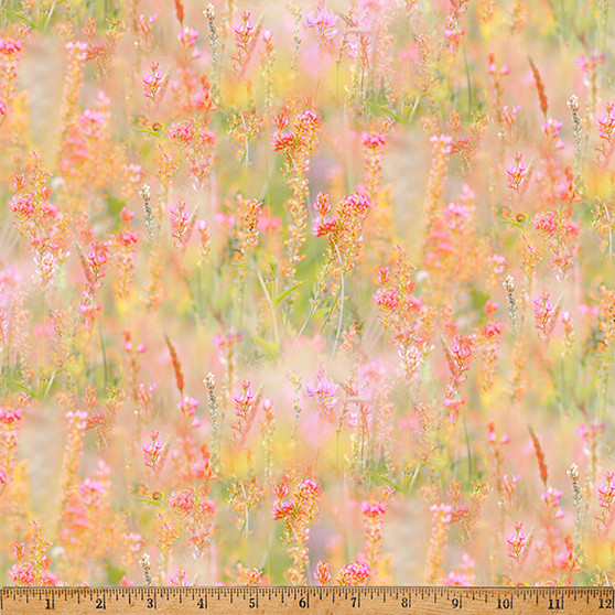 BLOOMS MARIPOSA MASTERPIECE