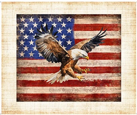 AMERICAN EAGLE FLAG