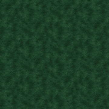 EQUIPOISE DEEP FOREST