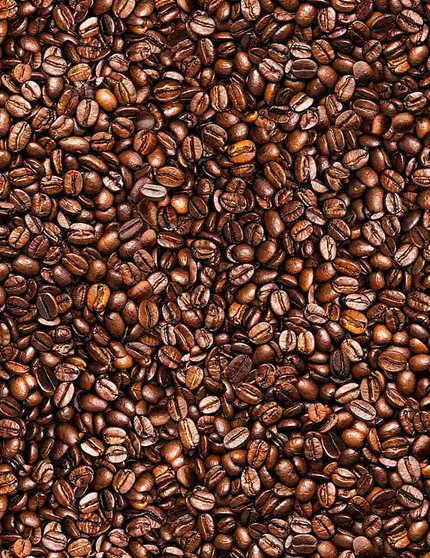 PACKED COFFEE BEANS