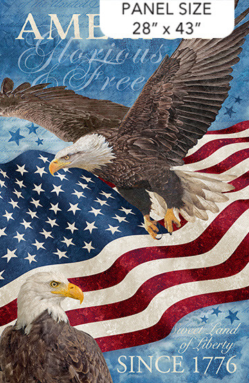 STARS AND STRIPES PANEL 28 X 43