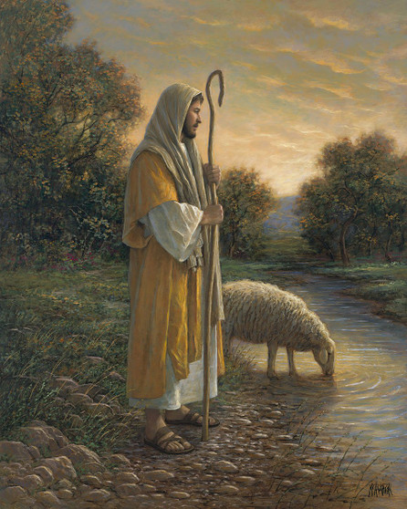 JESUS & SHEEP
