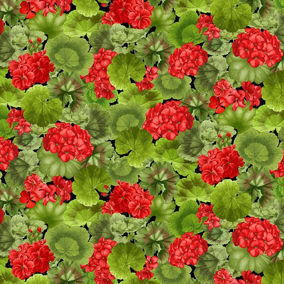GERANIUM FLORAL