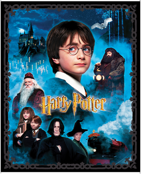 HARRY POTTER PANEL MULTI