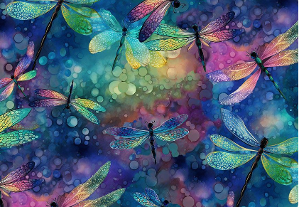 DRAGONFLY ILLUSIONS DRAGONFLY DREAM