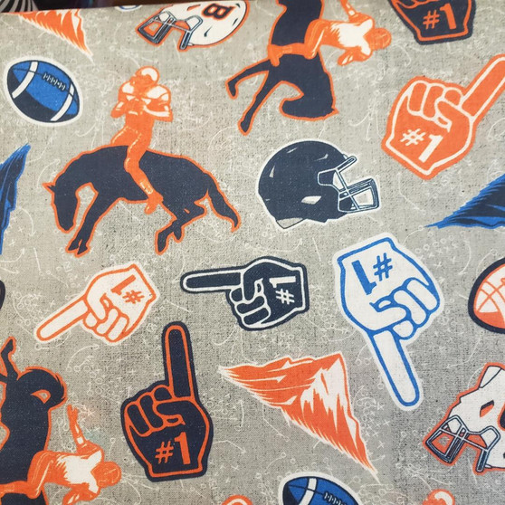 BRANDEIS BRONCOS FAN TOSS