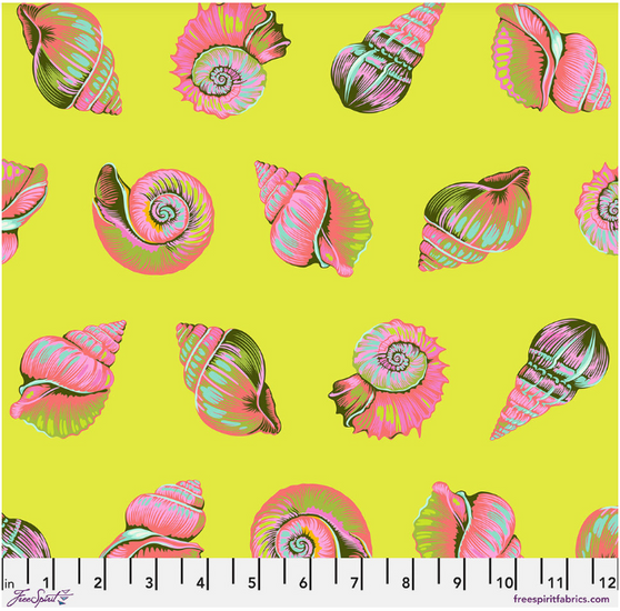 LIL SHELLY - SEAGRASS