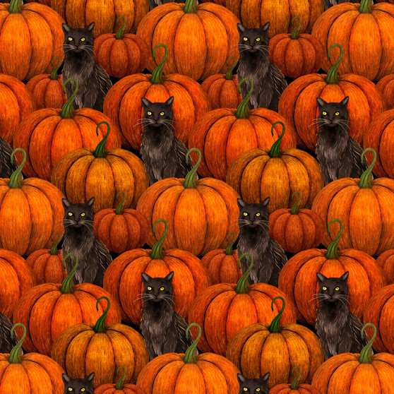HARVEST HAUNT PUMPKINS & BLACK CATS