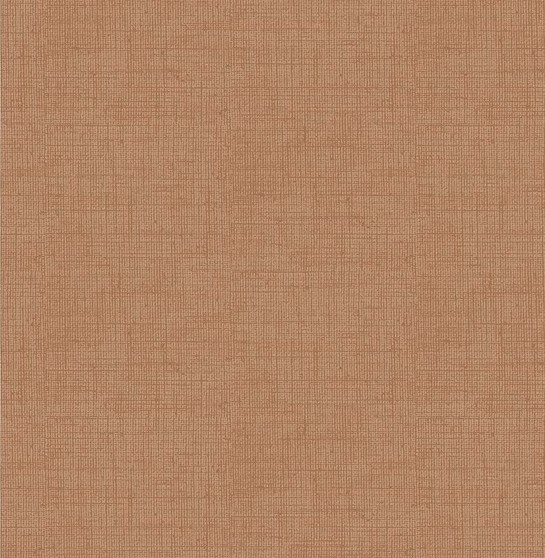 REMIX BASICS CAMEL