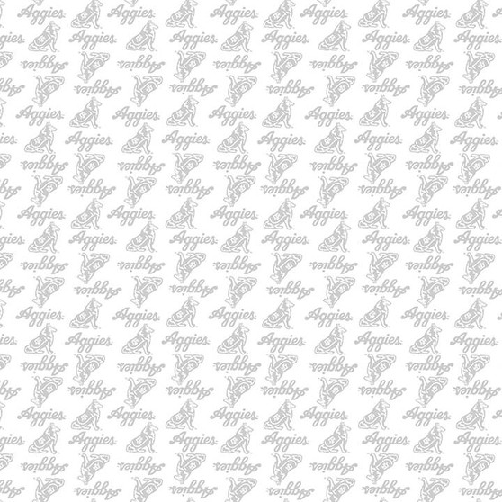 TEXAS A&M WHITE ON WHITE MINI PACKED