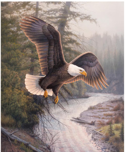 MAJESTIC IN NATURE II EAGLE PATRIOT