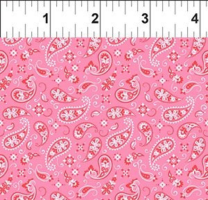GO COWGIRL - PAISLEY PINK