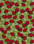 Ladybugs