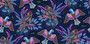 Gondwana Birds Navy