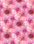 In Bloom Packed Pink Floral