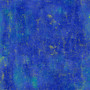 GOLDEN SCRATCHED TEXTURE Blue, Cleo the Cat