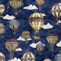 Flying High || Hot Air Balloons Navy
