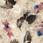 American Spirit || Eagle and Flag Toss Cream