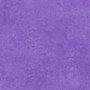 PURPLE SHADOW PLAY