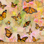 MARIPOSA MARIPOSA MASTERPIECE