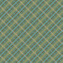 ENCHANTED PLAID GREEN