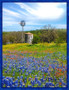 BLUEBONNET 2025 PANEL