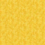 EQUIPOISE SUNSHINE