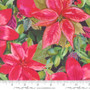LOVE AND CHEER COAL FLORAL POINSETTA WATERCOLOR