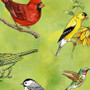 DRAWN TO BIRDS LT GREEN