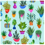 HOUSEPLANTS MINT